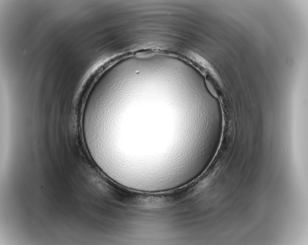 X0000086931027200704301113