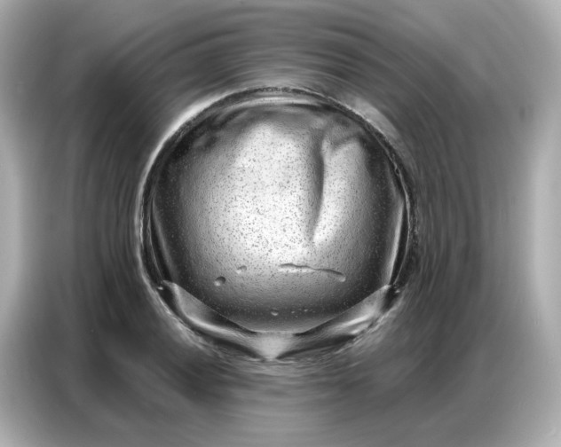 X0000086931028200704301113