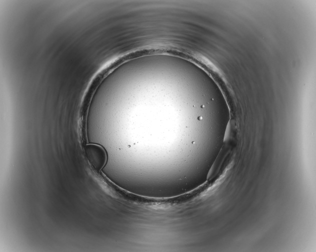 X0000086931029200704301113