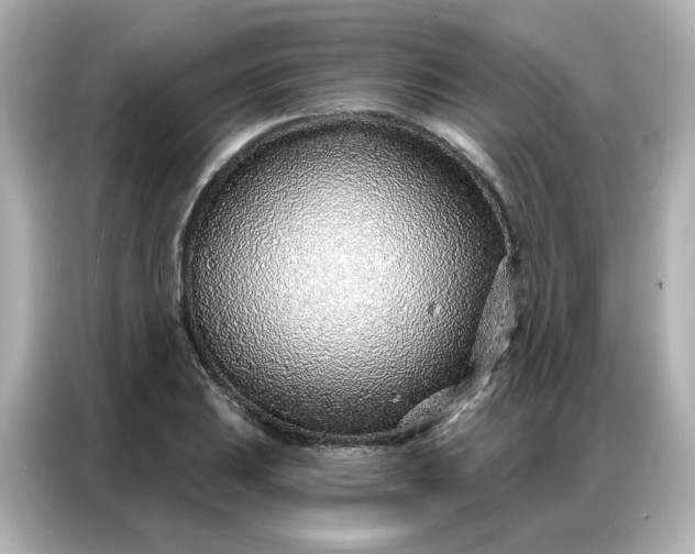 X0000086931031200704301113