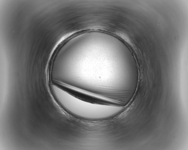 X0000086931032200704301113