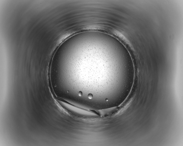 X0000086931033200704301113