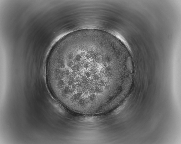 X0000086931035200704301113