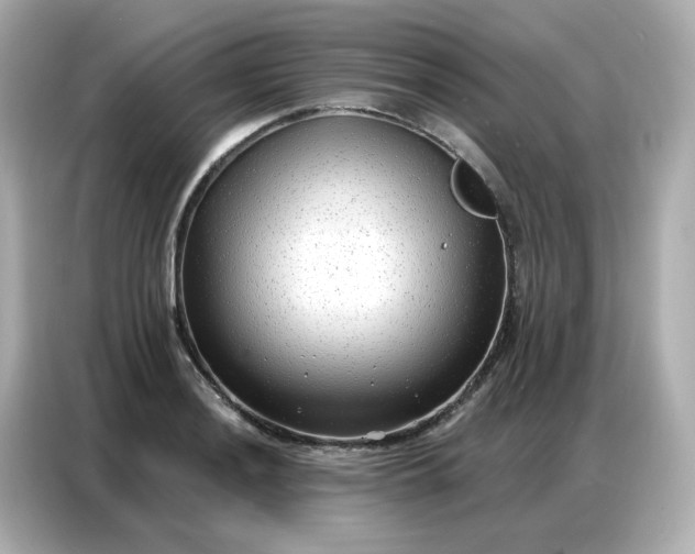 X0000086931036200704301113