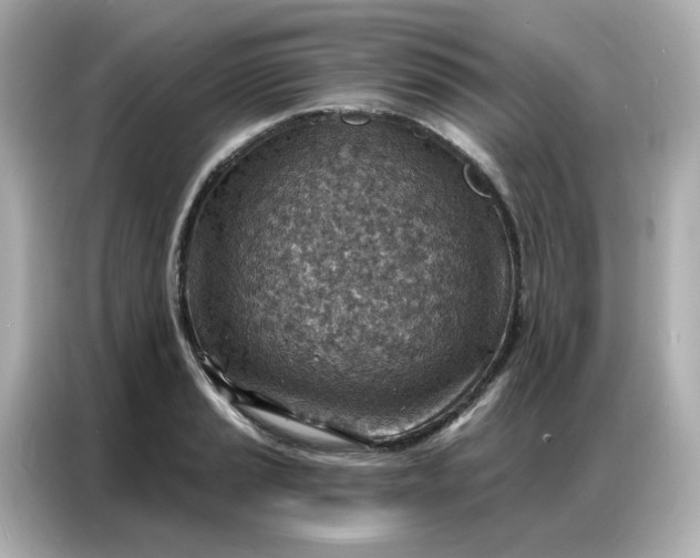 X0000086931037200704301113