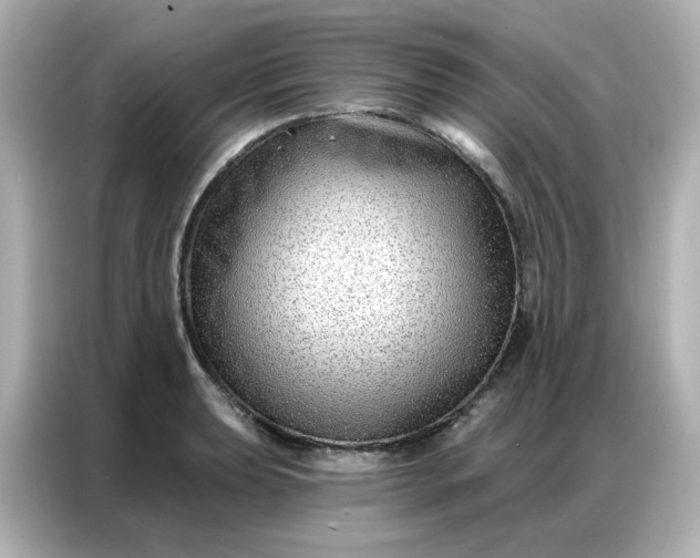 X0000086931039200704301113