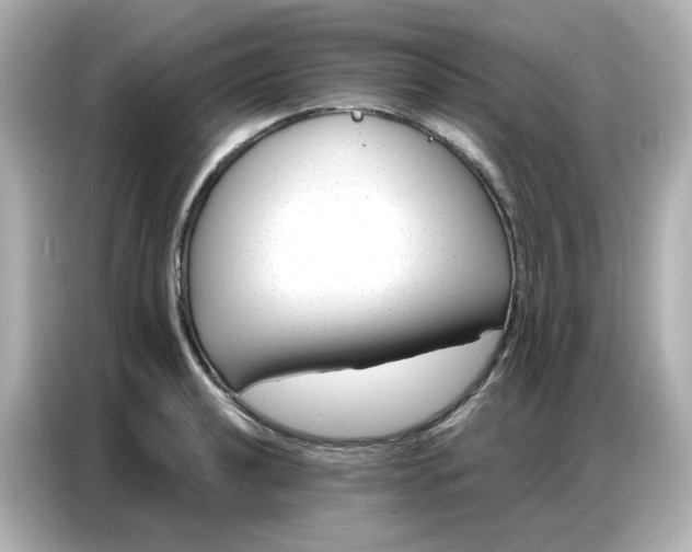 X0000086931040200704301113