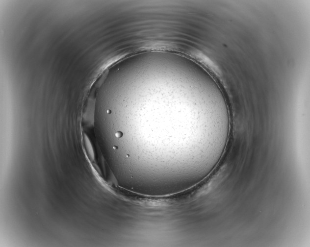 X0000086931041200704301113