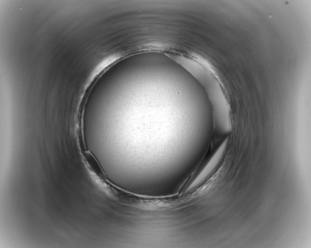 X0000086931042200704301113