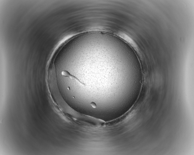 X0000086931043200704301113