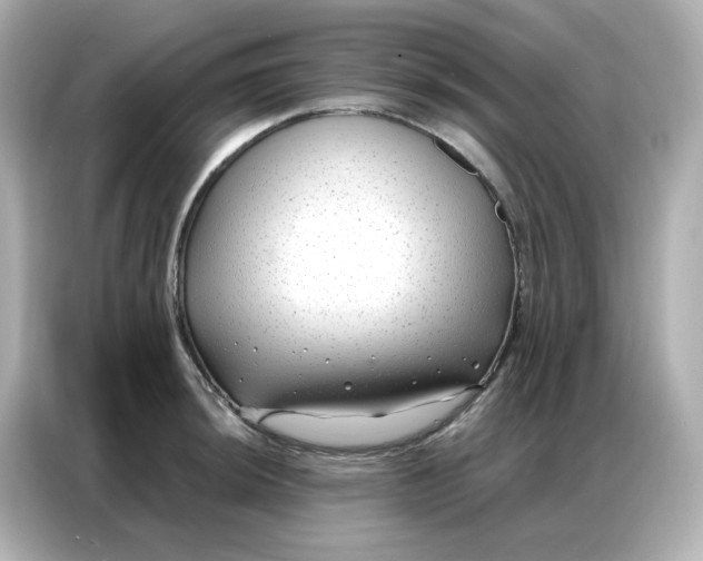 X0000086931044200704301113