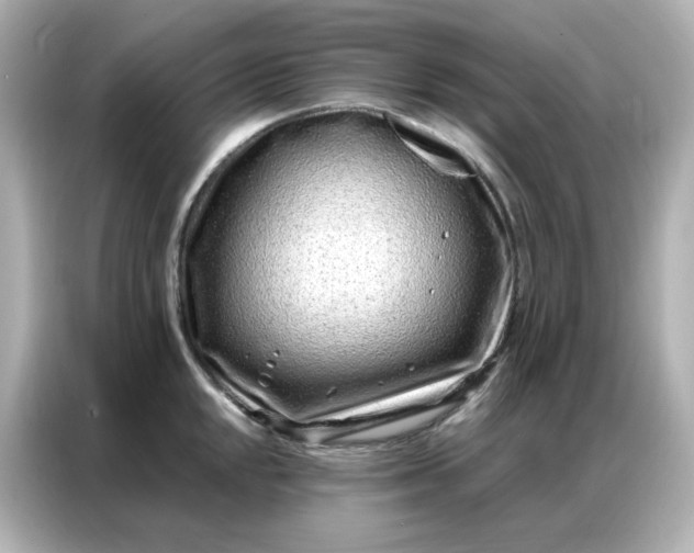 X0000086931048200704301113