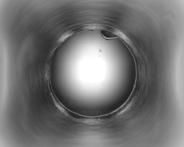 X0000086931049200704301113