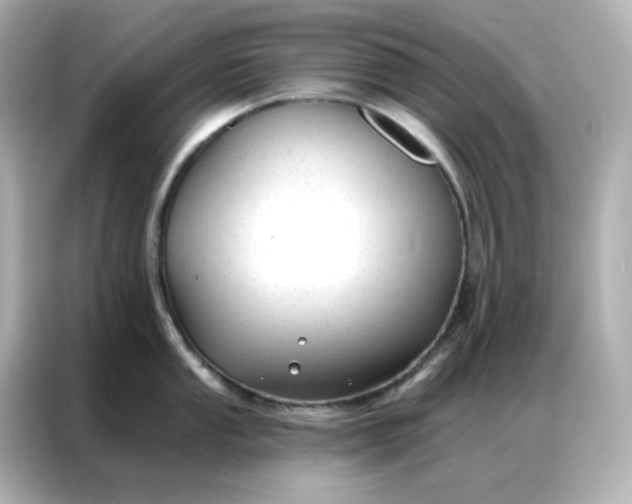 X0000086931053200704301113