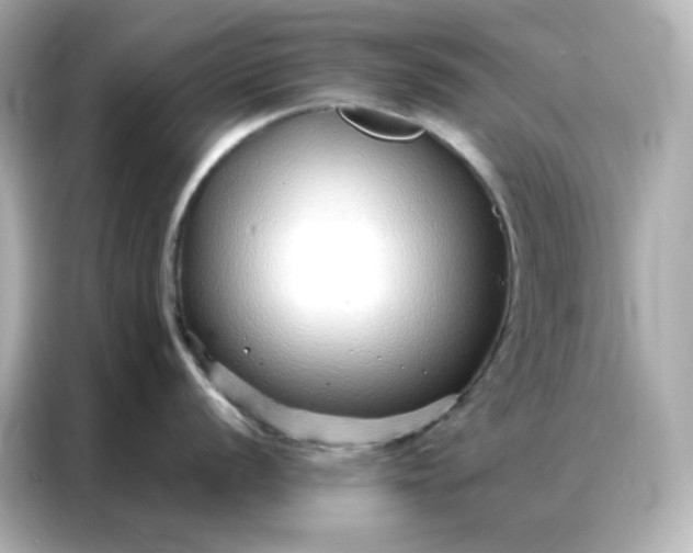 X0000086931056200704301113