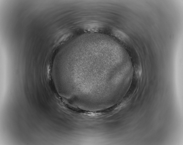 X0000086931060200704301112