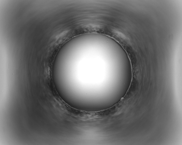 X0000086931061200704301112