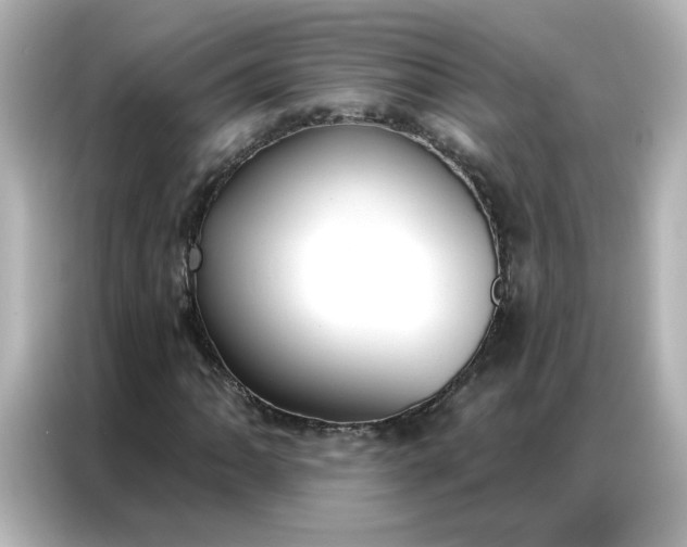 X0000086931062200704301112