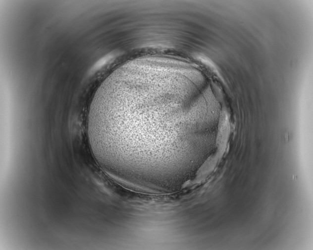 X0000086931064200704301112