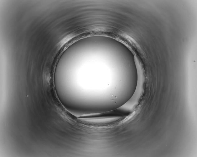 X0000086931065200704301112