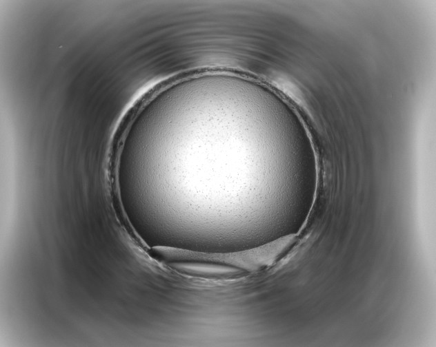 X0000086931068200704301112