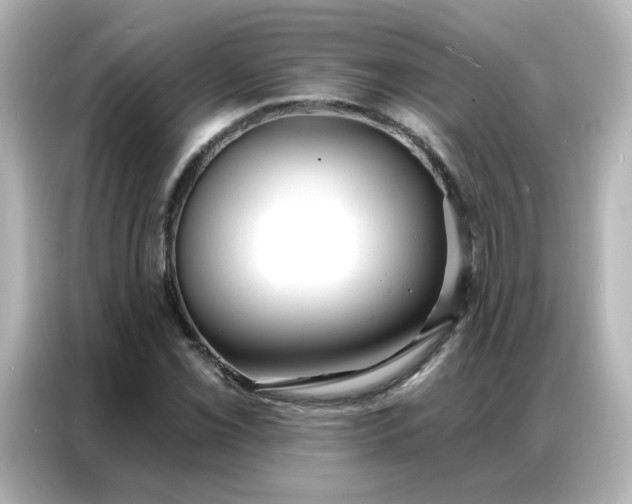 X0000086931069200704301112