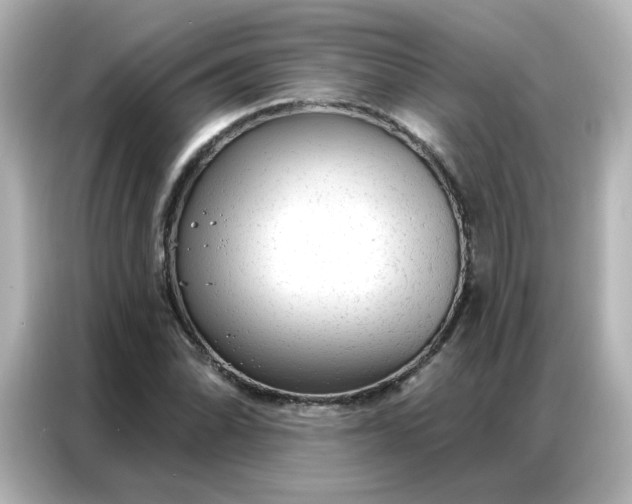 X0000086931070200704301112