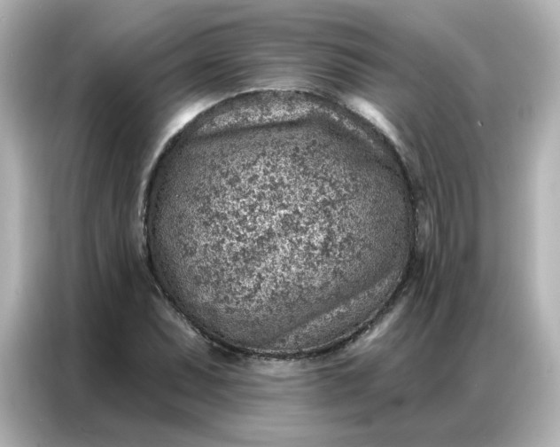 X0000086931071200704301112