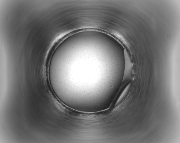 X0000086931072200704301112