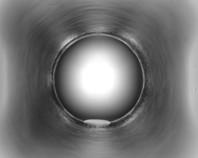 X0000086931073200704301112