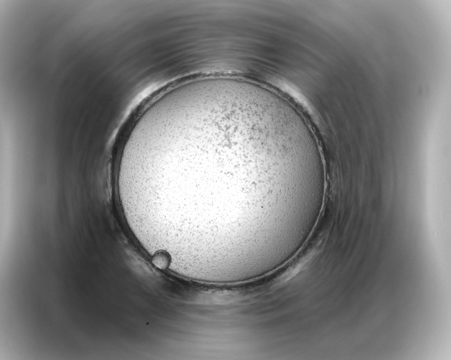 X0000086931075200704301112