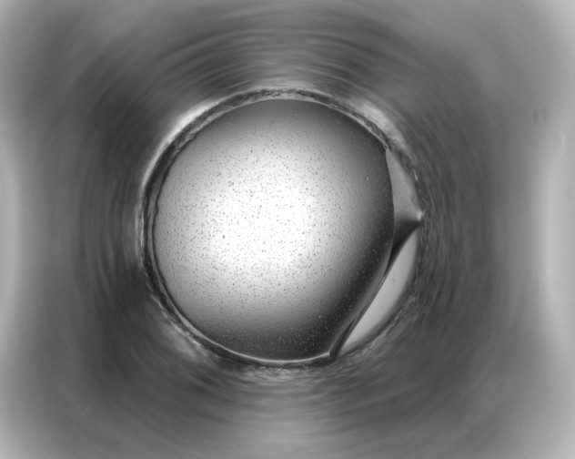 X0000086931076200704301112