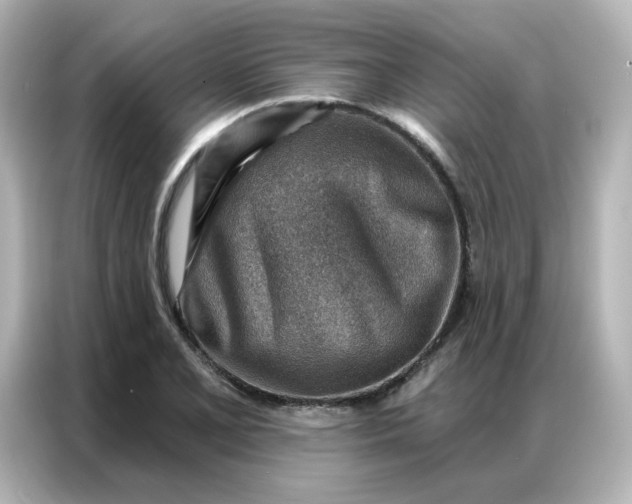 X0000086931077200704301112