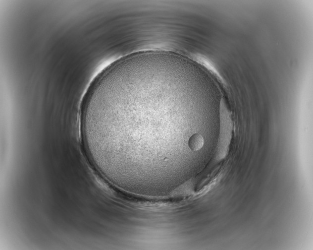 X0000086931079200704301112