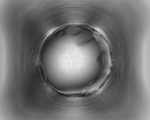 X0000086931081200704301112