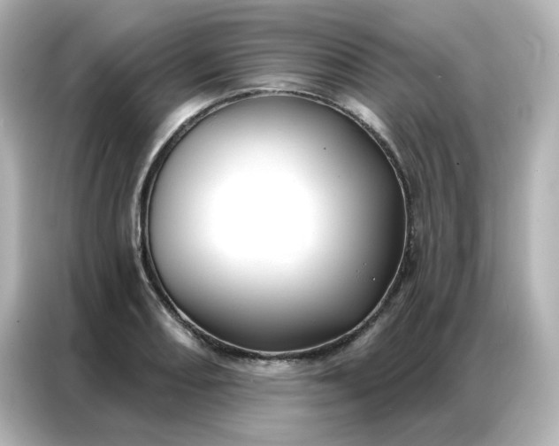 X0000086931082200704301112