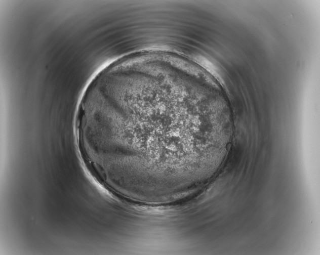 X0000086931084200704301112