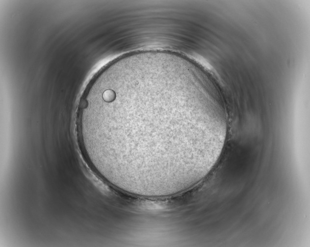 X0000086931086200704301112