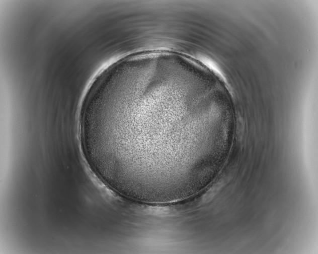 X0000086931088200704301112