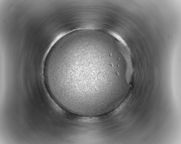 X0000086931091200704301112