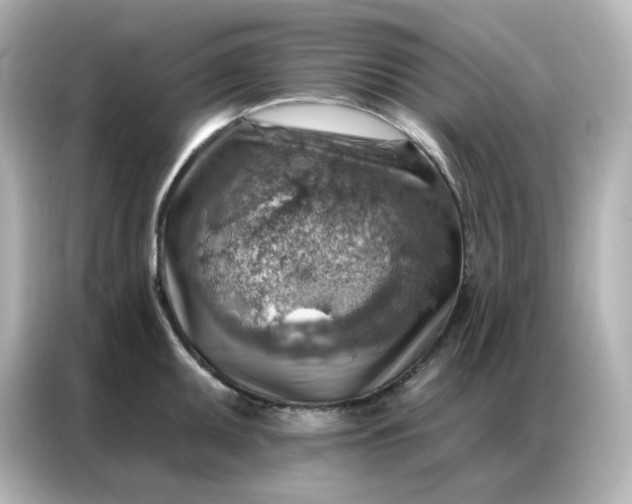 X0000086931095200704301112