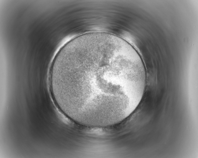 X0000086931098200704301112