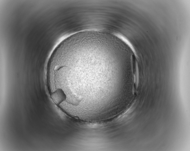 X0000086931099200704301112