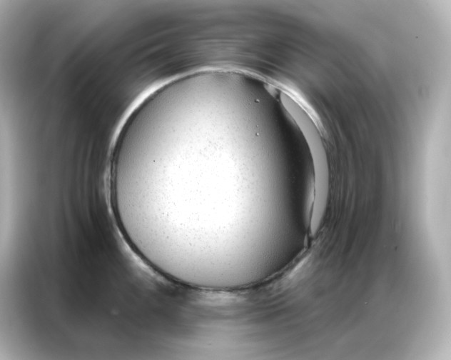 X0000086931100200704301112