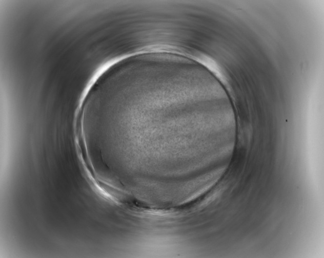 X0000086931102200704301112