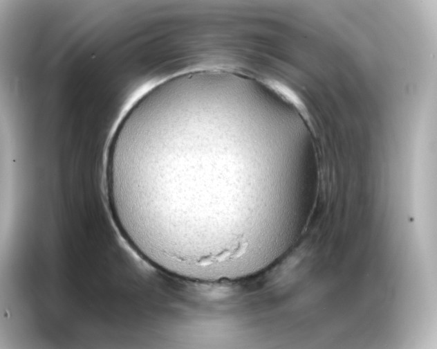 X0000086931103200704301112