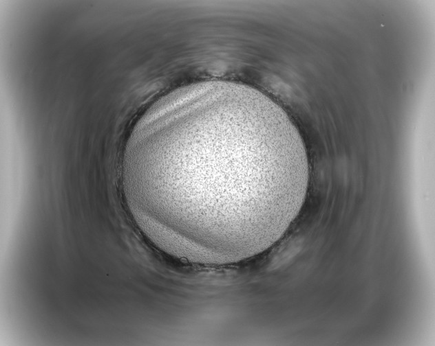 X0000086931105200704301111