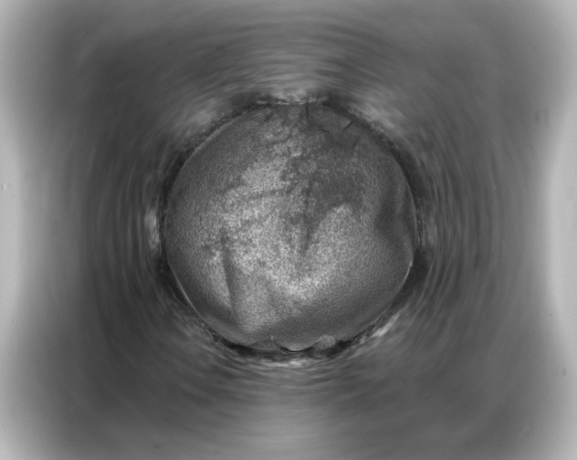 X0000086931106200704301111