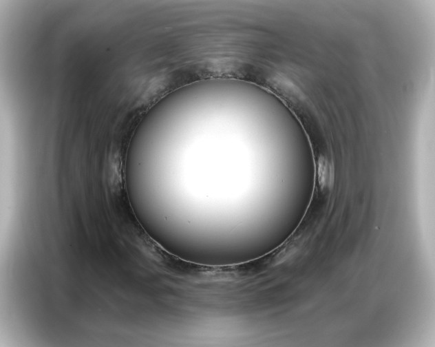 X0000086931107200704301111