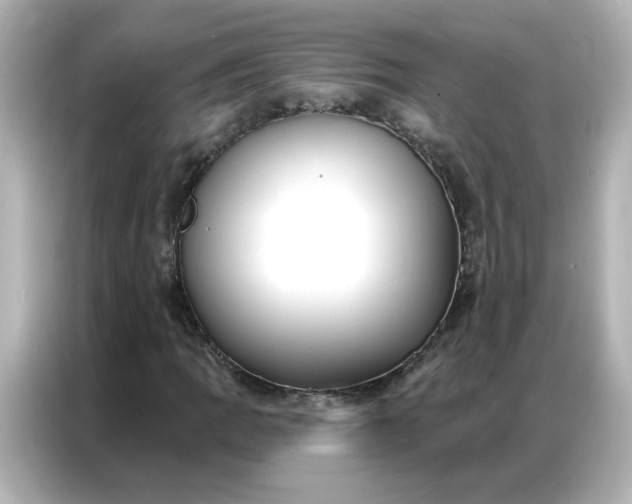 X0000086931109200704301111